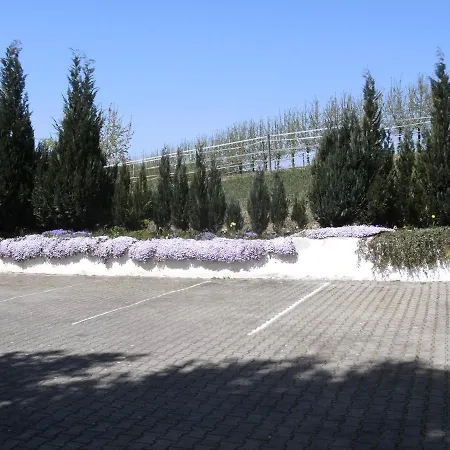 Eg Mitte - Hunde Erlaubt Apartment Oberteuringen